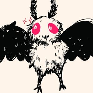 Meet your Posher, Delaney